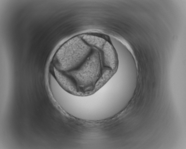 X0000115151104200911241524