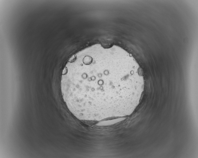 X0000115151105200911241523