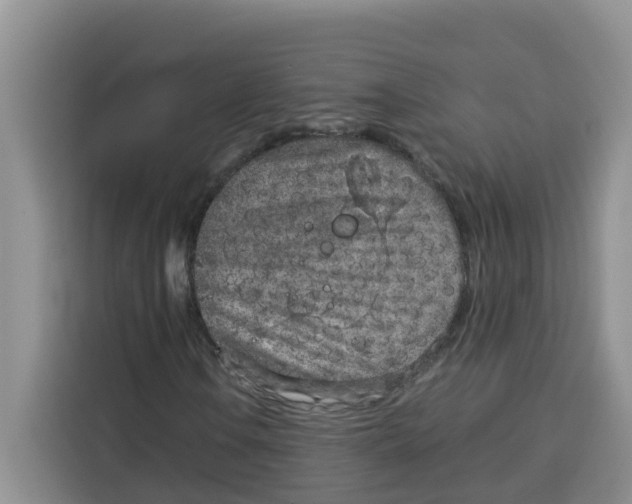 X0000115151106200911241523