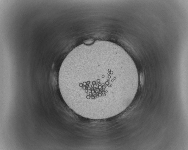 X0000115151107200911241523