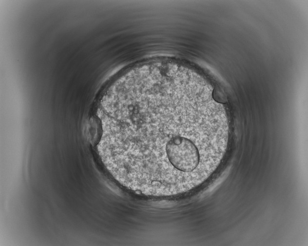 X0000115151113200911241523