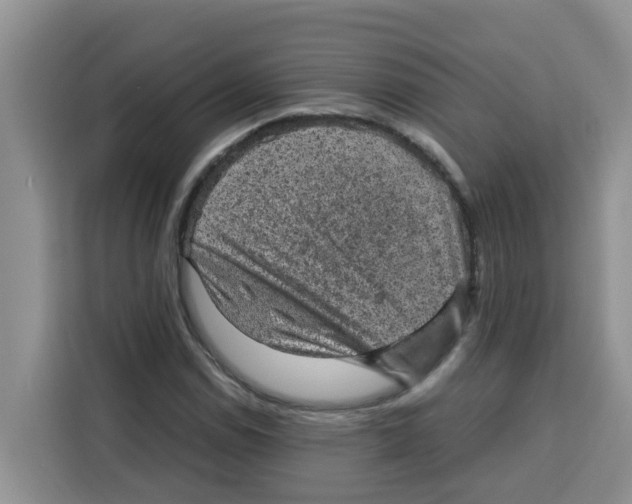 X0000115151114200911241523