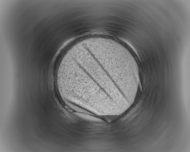 X0000115151115200911241523