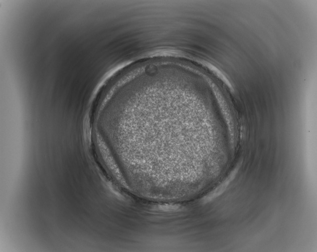 X0000115151117200911241523