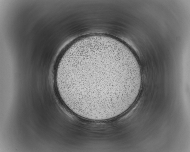 X0000115151119200911241523