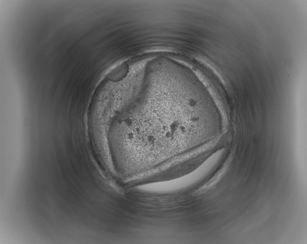 X0000115151121200911241523