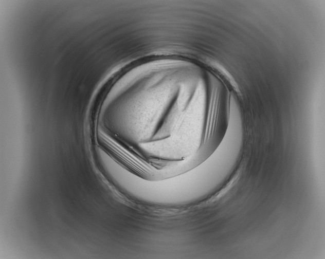 X0000115151122200911241523