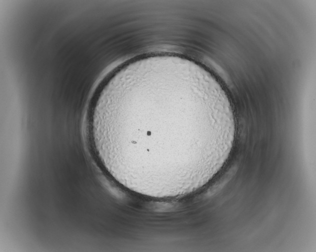 X0000115151125200911241523