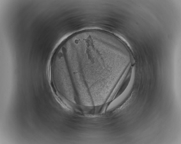 X0000115151127200911241523