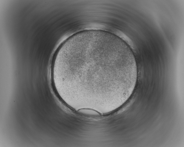 X0000115151130200911241523