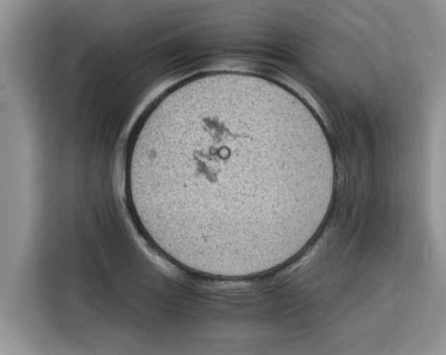 X0000115151131200911241523