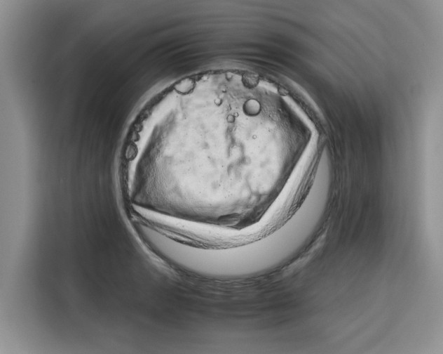 X0000115151133200911241523