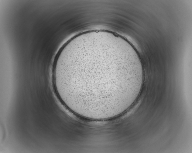 X0000115151134200911241523