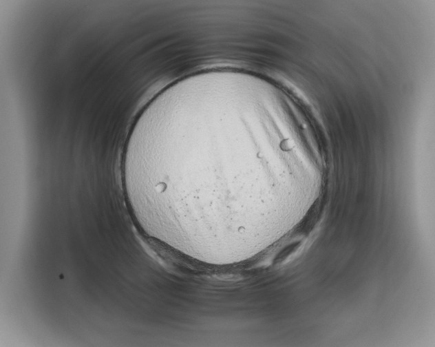 X0000115151137200911241523