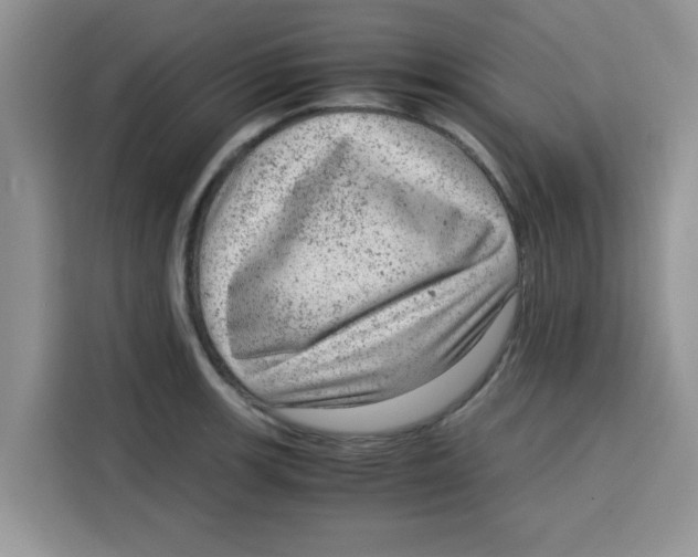 X0000115151139200911241523