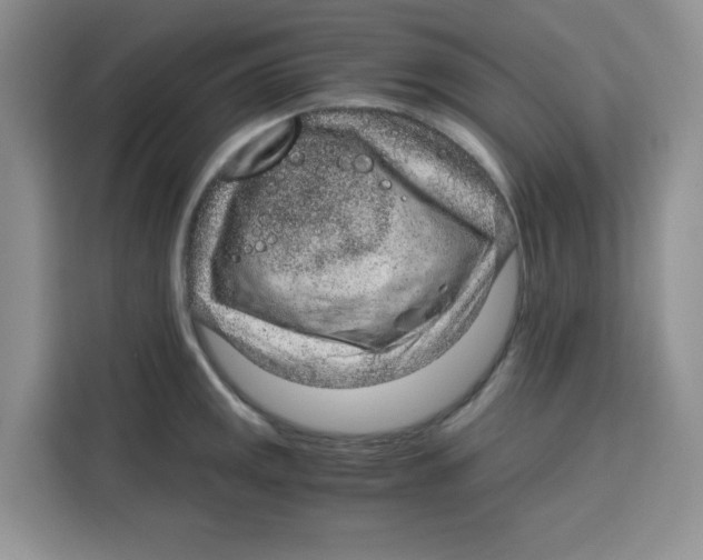 X0000115151141200911241523