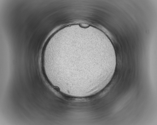 X0000115151142200911241523