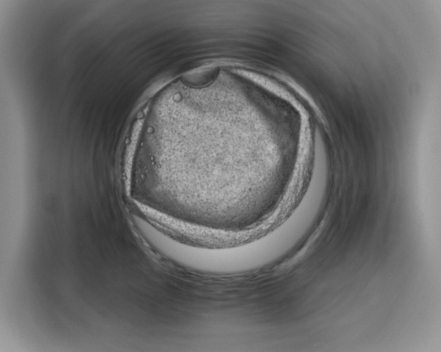 X0000115151145200911241523