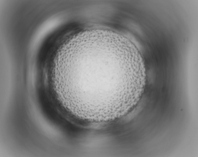 X0000115151150200911241524