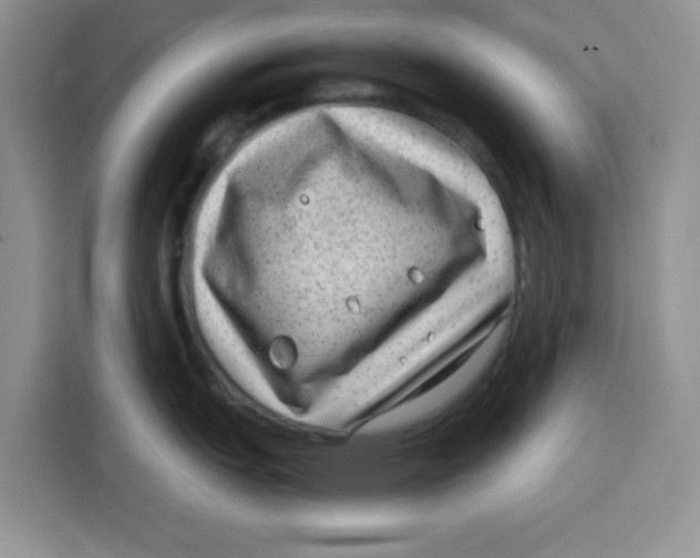 X0000115151151200911241524