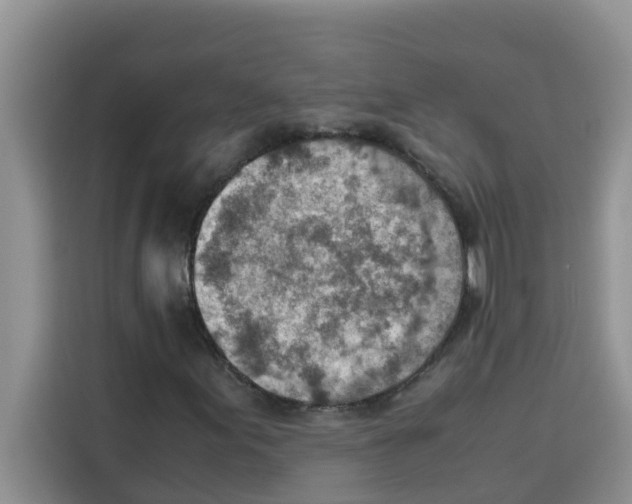 X0000115151155200911241523