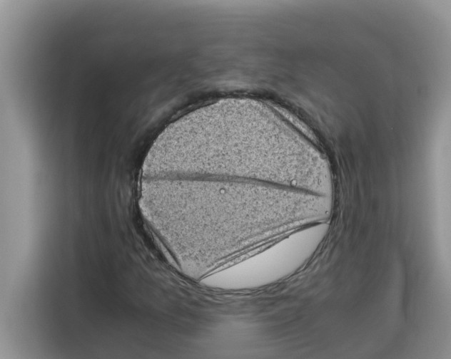 X0000115151157200911241523