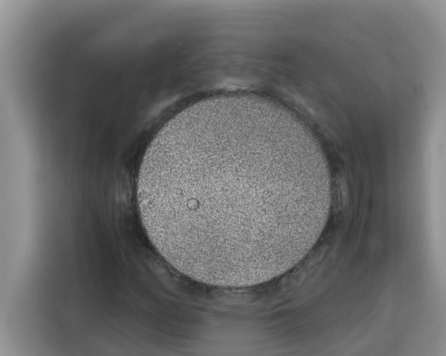 X0000115151158200911241523