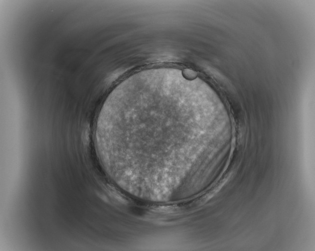 X0000115151161200911241523