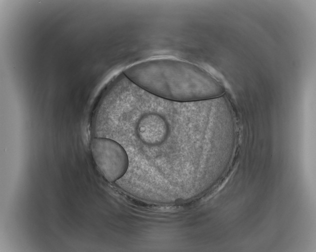 X0000115151167200911241523