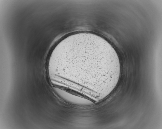 X0000115151168200911241523