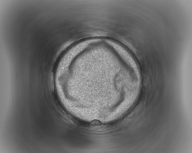 X0000115151171200911241523