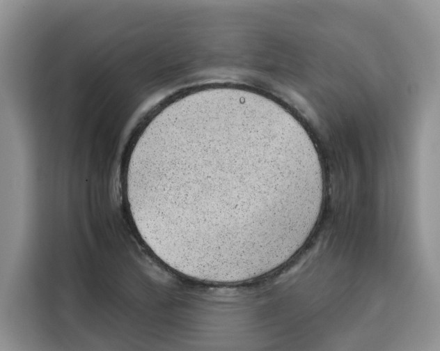 X0000115151172200911241523