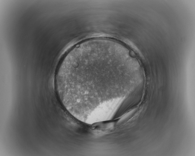 X0000115151173200911241523