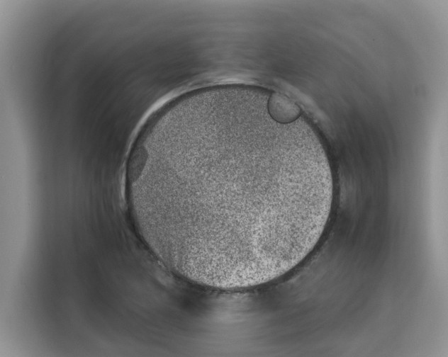 X0000115151174200911241522