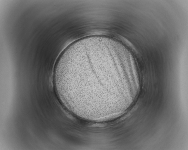 X0000115151178200911241522