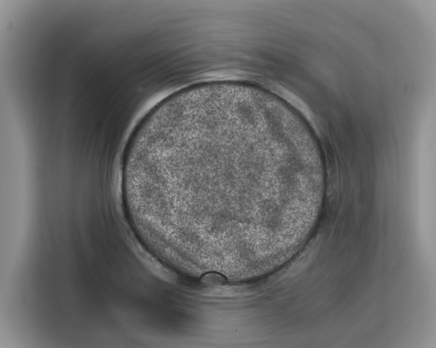 X0000115151179200911241522