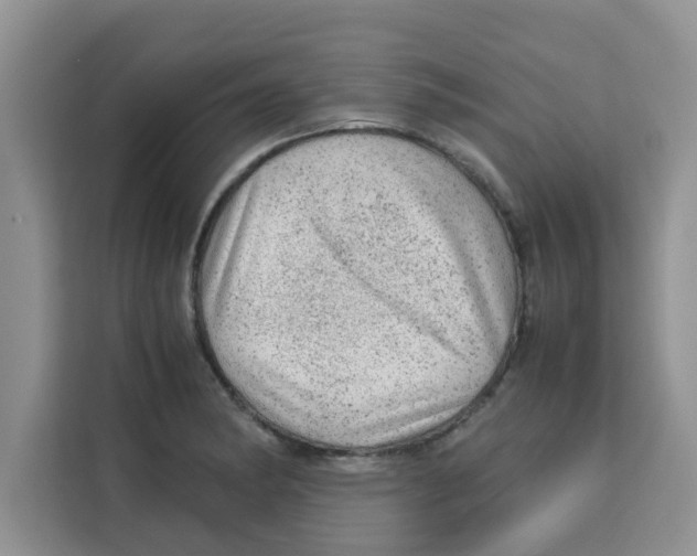 X0000115151182200911241522