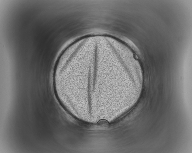 X0000115151183200911241522