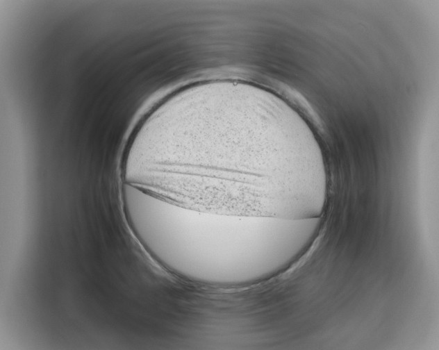 X0000115151184200911241522