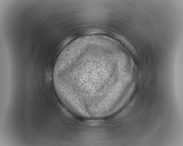 X0000115151185200911241522