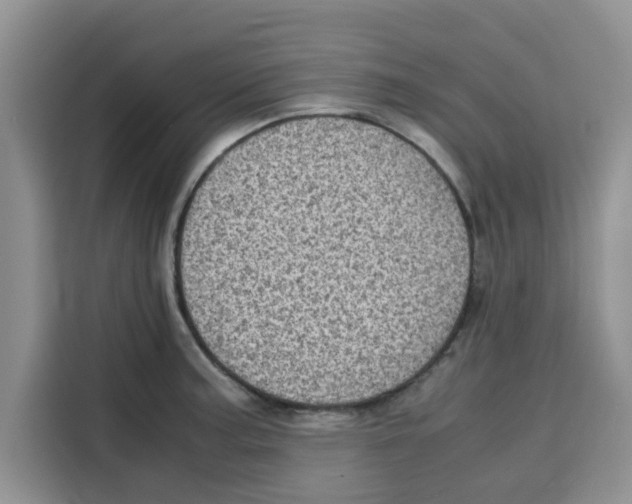 X0000115151187200911241522