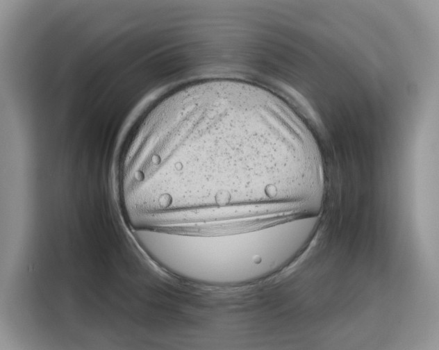 X0000115151188200911241522