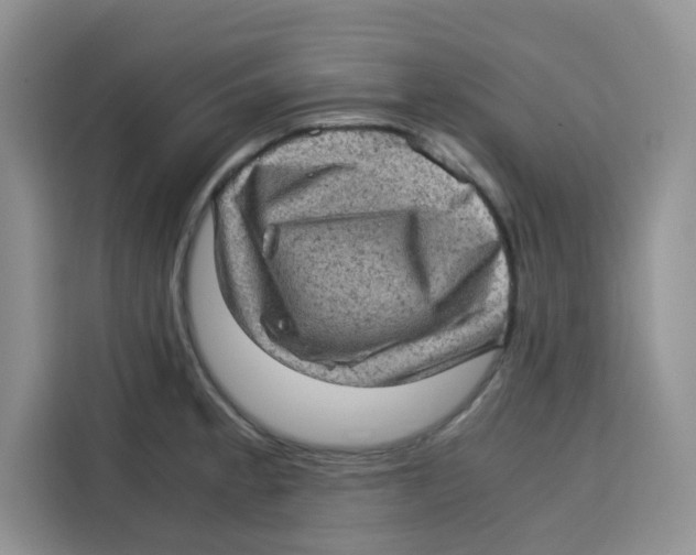 X0000115151189200911241522