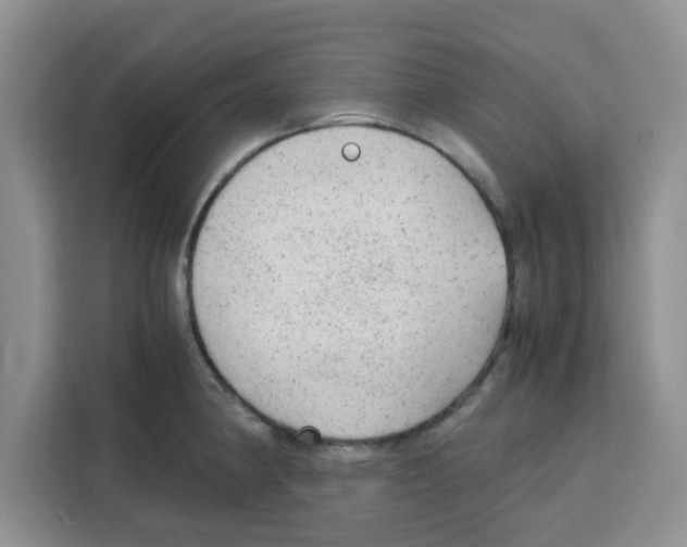 X0000115151190200911241522