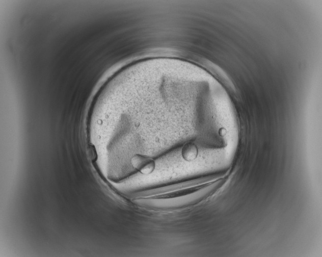 X0000115151192200911241522