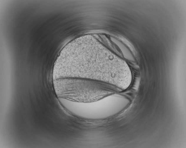 X0000115151193200911241522