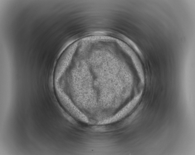 X0000115151194200911241522