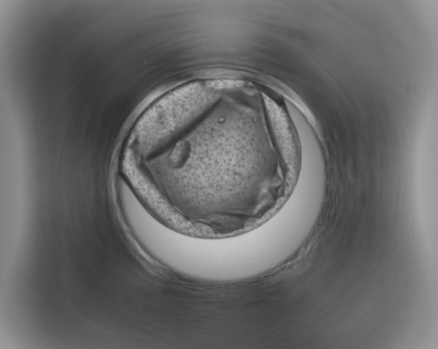 X0000115151195200911241522