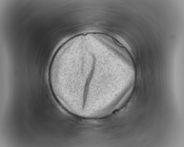 X0000115151197200911241522