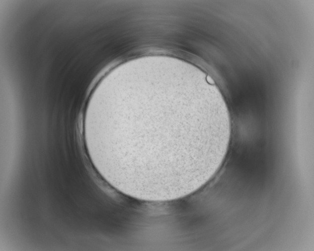 X0000115151198200911241522